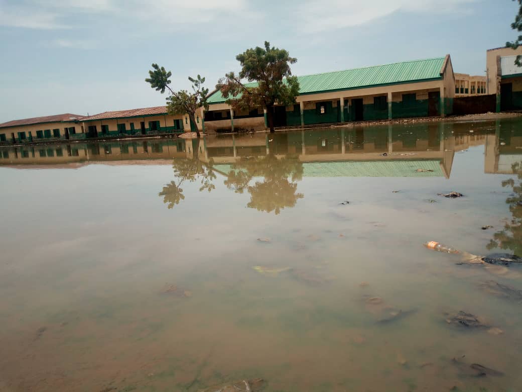 TrackaNG's tweet photo. Gov @GovUmarGanduje,is yet to intervene in the renovation of Hotoro primary school In Kano state. This is the right time to fix the school since the students are on holiday. Kindly reach out to the appropriate authority to do the needful.#GetInvolved #KanoState https://t.co/wiCZuoNafs