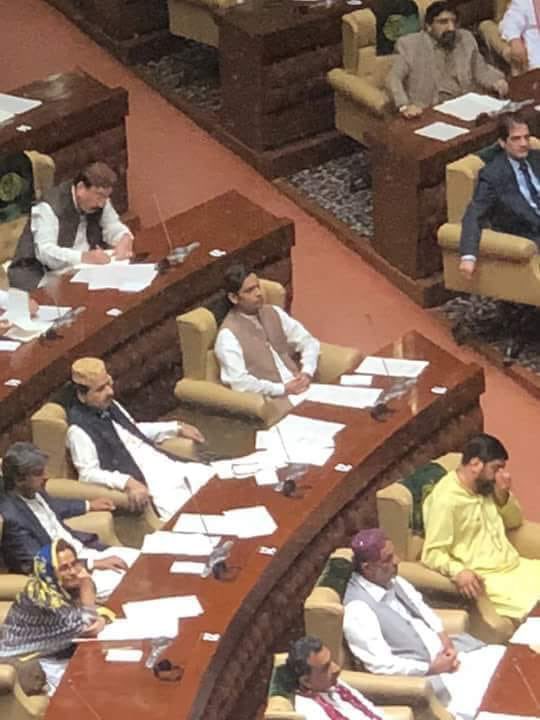 UsamaHafeezKhan's tweet photo. Congrats @ArsalanGhumman &amp; @AdeelAhmedSays 

#ISFinAssembly https://t.co/8vFL5IrYPN