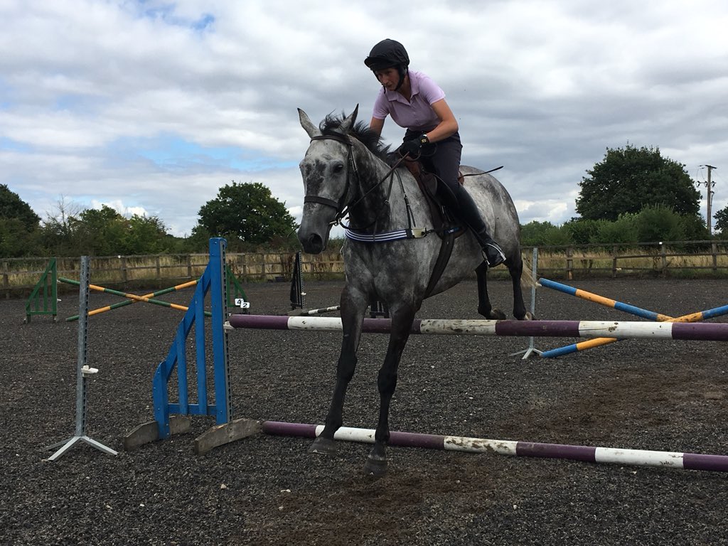 denmanthelegend's tweet photo. Saphir Du Rheu training today @TallandSofE #Brianthelegend #britisheventing #teamchasing what a horse very excited about his future. Thank you @PFNicholls https://t.co/J6K1exzYRi