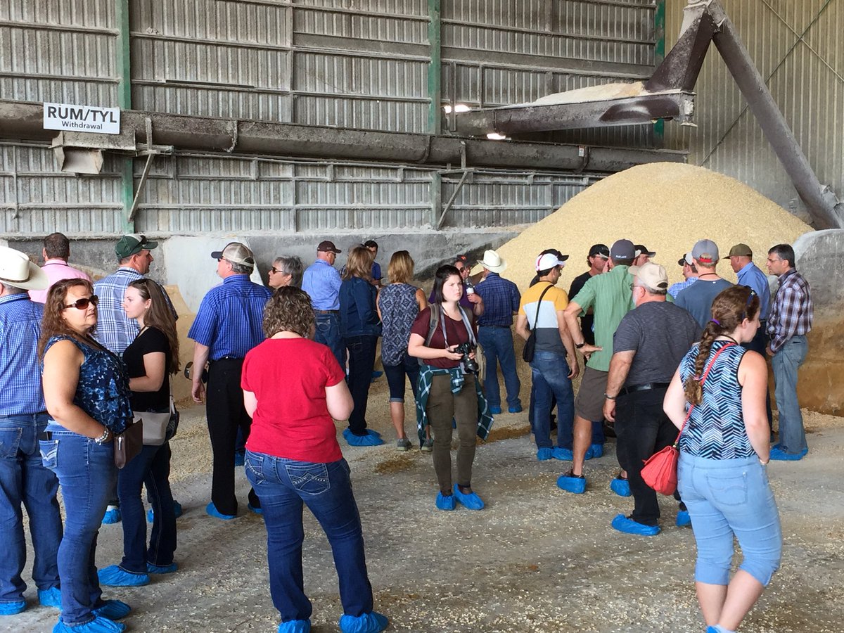 BeefFarmersON's tweet photo. Checking out the different components of the feed ration at Van Osch Farms. #PreConferenceTour #CDNBeefConf #ontag https://t.co/uTYHptahWn