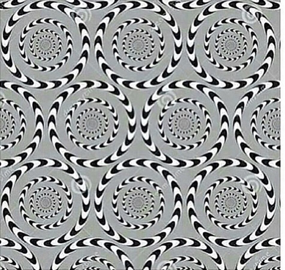 PhillyChic5's tweet photo. Retweet if you see this moving https://t.co/BDR6hZ5Kc2