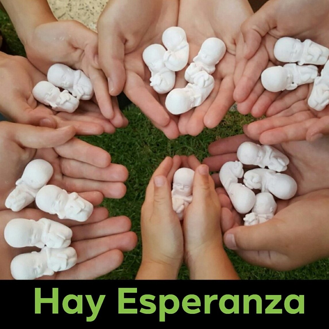 cadavidavale's tweet photo. Defensores del Niño
1- La vicepresidente
2- 38 senadores
3- 125 diputados
4- Gob. de provincias sin protocolo: Corrientes, Formosa, Santiago, Tucumán, Catamarca, San Juan, San Luis y Mendoza.
5- Legisladores provinciales.
6- Intendentes y concejales.
7- Millones de argentinos. https://t.co/qcIQAhv6Hz