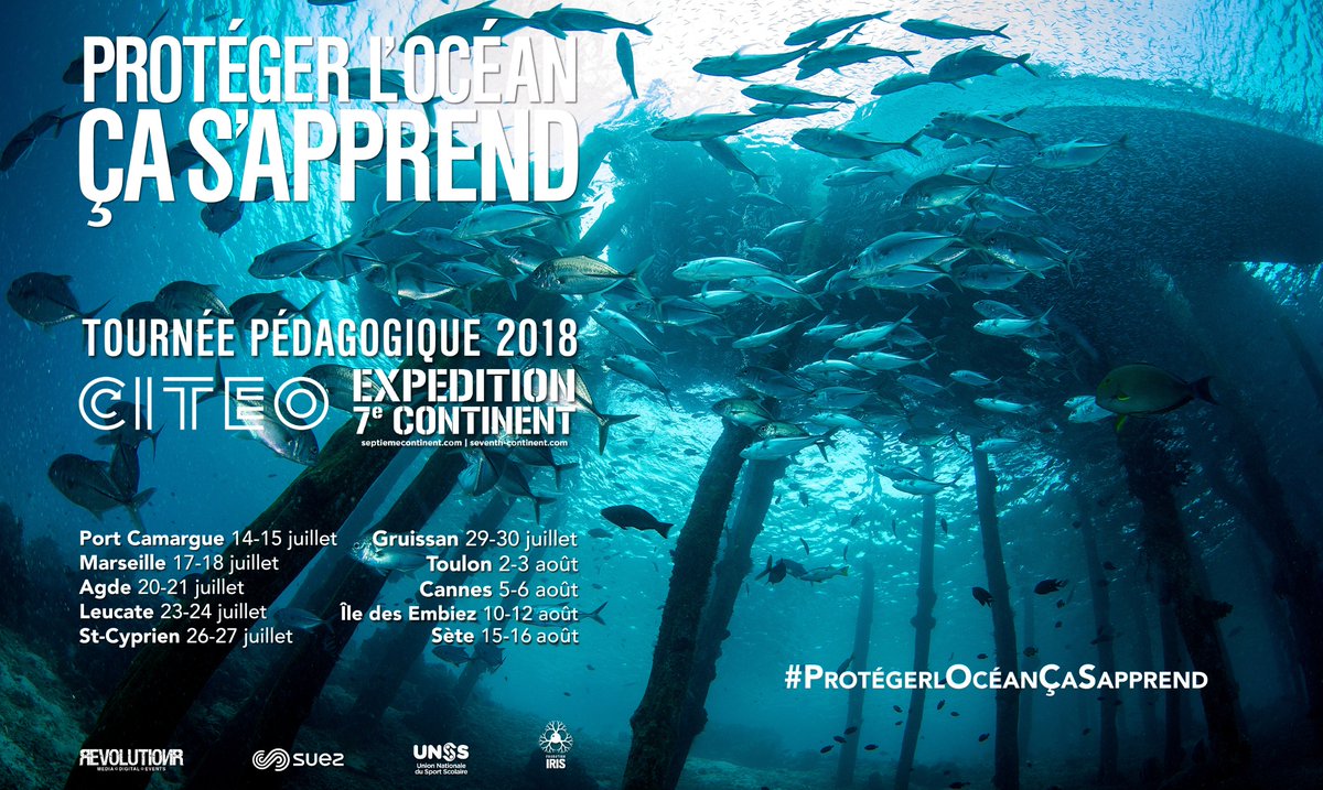 Région Occitanie tweet media