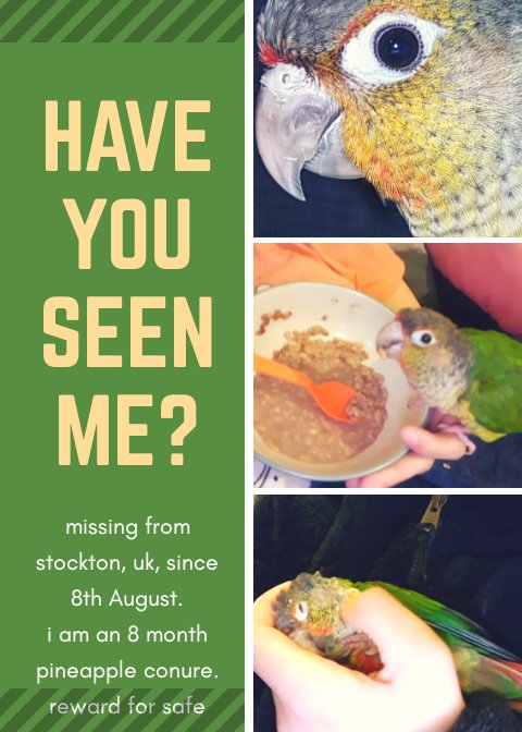 Find Tango tweet media