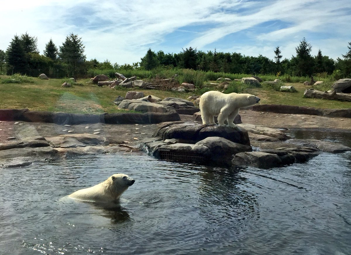 OhioHealth's tweet photo. Discover tips and tricks for beating stress while taking in the beautiful views of the @ColumbusZoo! Join us this Thursday (8/16) for #HOOFit. Register at https://t.co/z3XVYabsCr. https://t.co/GxkNEBZrmY