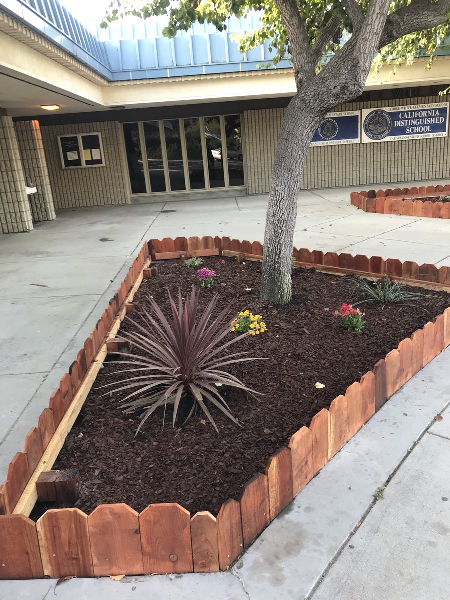 GEORGEWHITECapo's tweet photo. Eagle project completed in our front planters. Thanks Nolan #gettingready4school https://t.co/eZAc1F3BWS