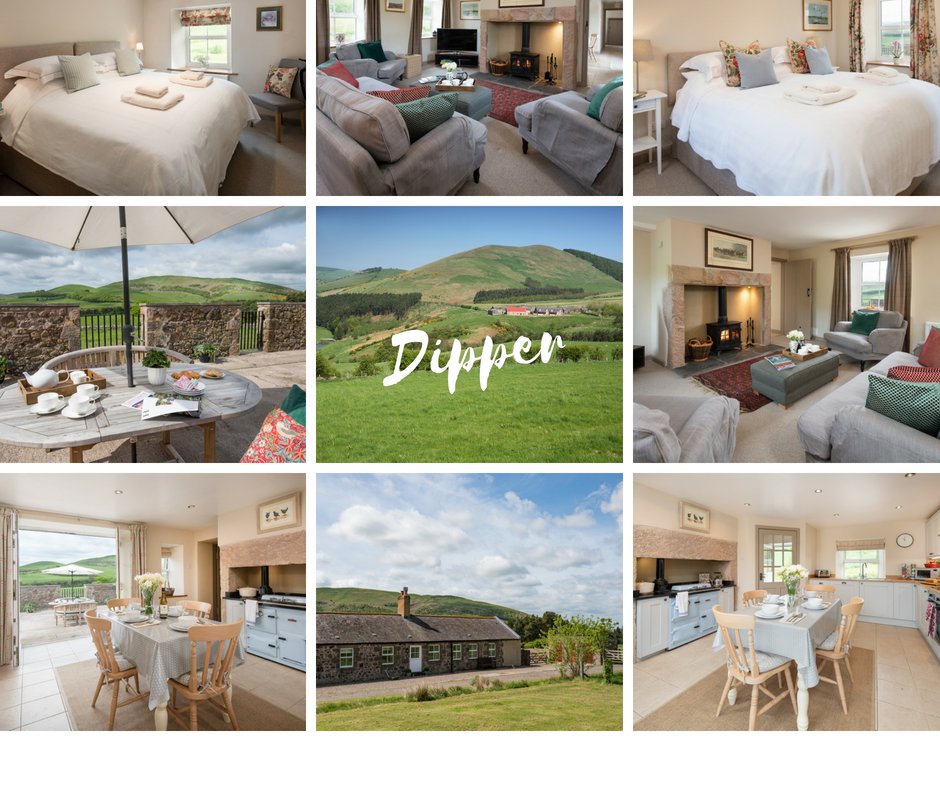 Crookhouse11's tweet photo. Dipper is a luxury brand new cottage sleeping 4 people and 2 dogs. There is some availability still in October. https://t.co/VZZXWK2pIH https://t.co/StpqQaeeZO
