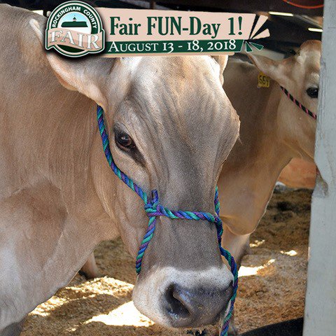 rockcofair's tweet photo. What will you be seeing at the fair today? #RockCoFair FUN DAY 1! https://t.co/HfM5X216FW