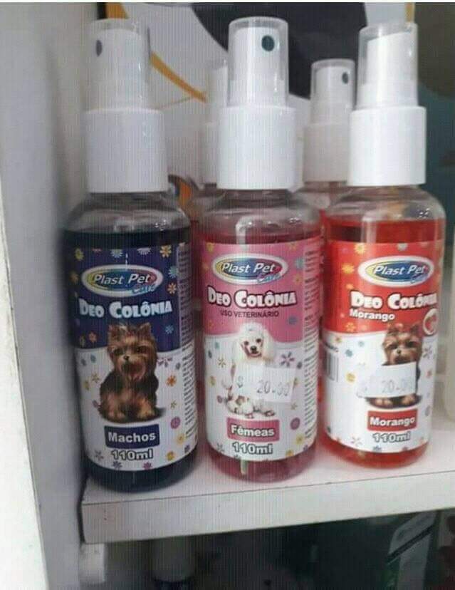 drjvemyheart's tweet photo. o cachorro de vcs é macho, fêmea ou morango? https://t.co/K4ysJzcAuc