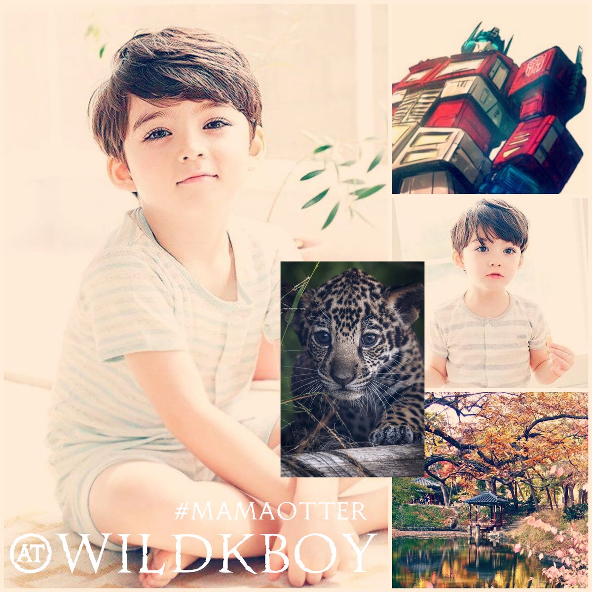 • Werecat
• Korean
• Detailed
• Orphan
• Quiet boy

#Retweet