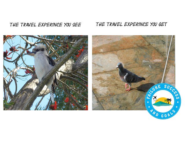 fsgtravels's tweet photo. Want to have your photo parodied
Message me on insta @fsgtravels
#travel #parody #Australia #backpacking #traveling #funnyBackpacker #fsgtravels https://t.co/XKwr9LwU1c