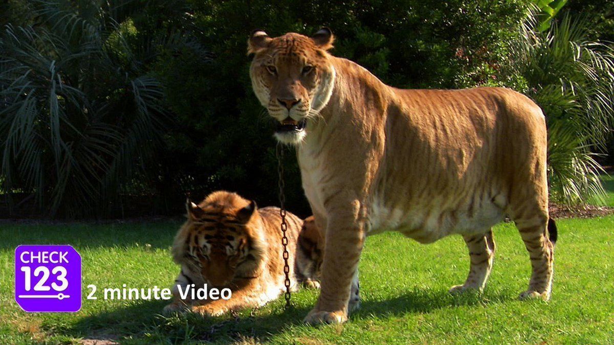 Check123 NATURE tweet media