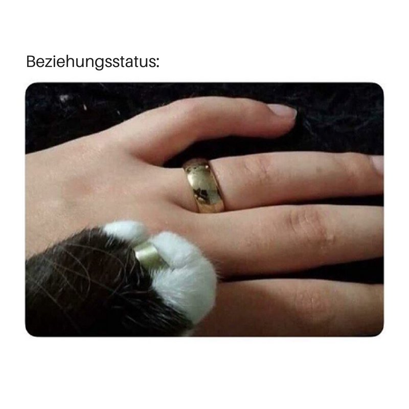 OMG 💍💕 Wir freuen uns so sehr für die beiden 😻😻