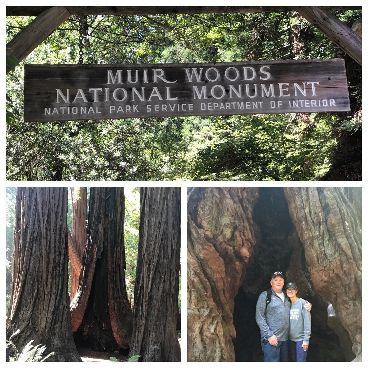 Awesome day hike thru #MuirWoods #RedwoodTrees majestic !! #SanFrancisco