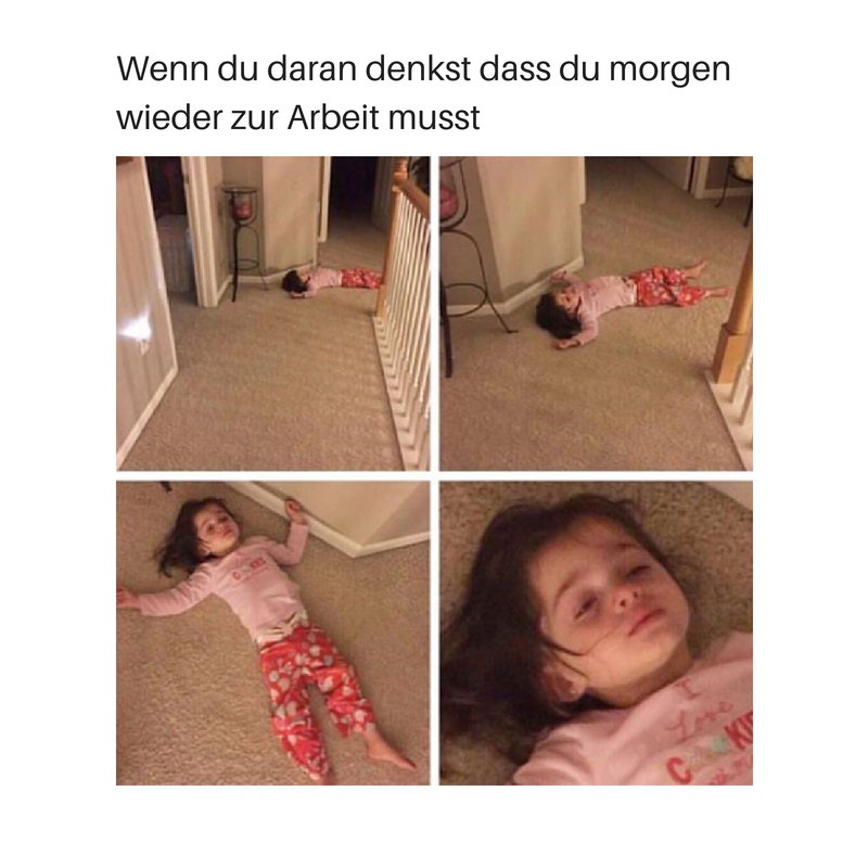 Wir wollen wieder Ferien haben 🙄🙄 Wem geht's genauso? 🙋🙋