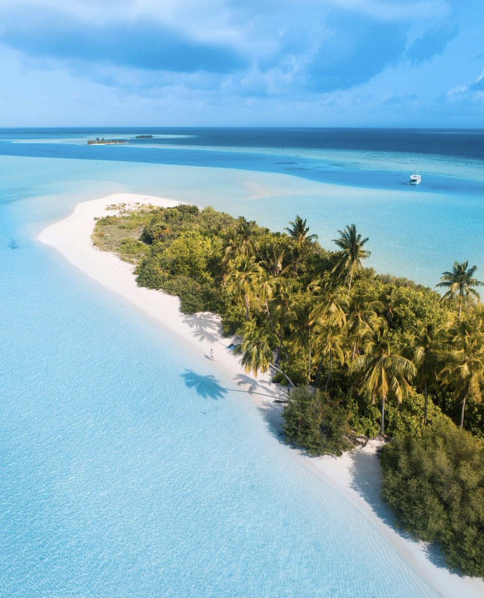 visual_supply's tweet image. Everyday in the Maldives 🌴😍