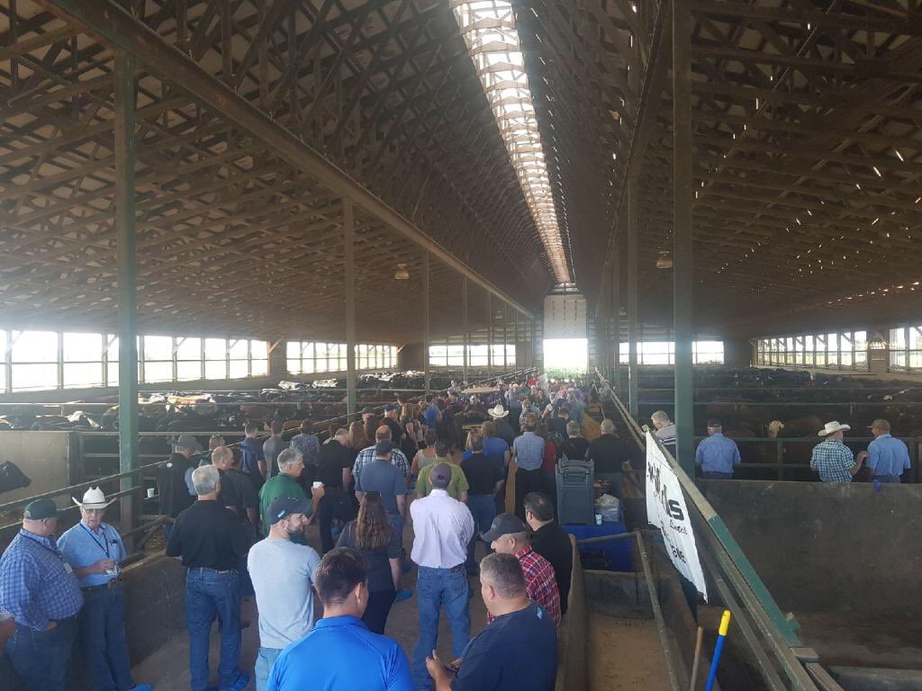 DhelmBeefGuy's tweet photo. The first stop on today’s #PreConferenceTour was at Conlin Farms near Lucan, Ontario. It was great to see producers from all over Canada attend! Thanks to @MikeConlin4 for the hospitality! #CDNBeefConf https://t.co/S36p5erMQo