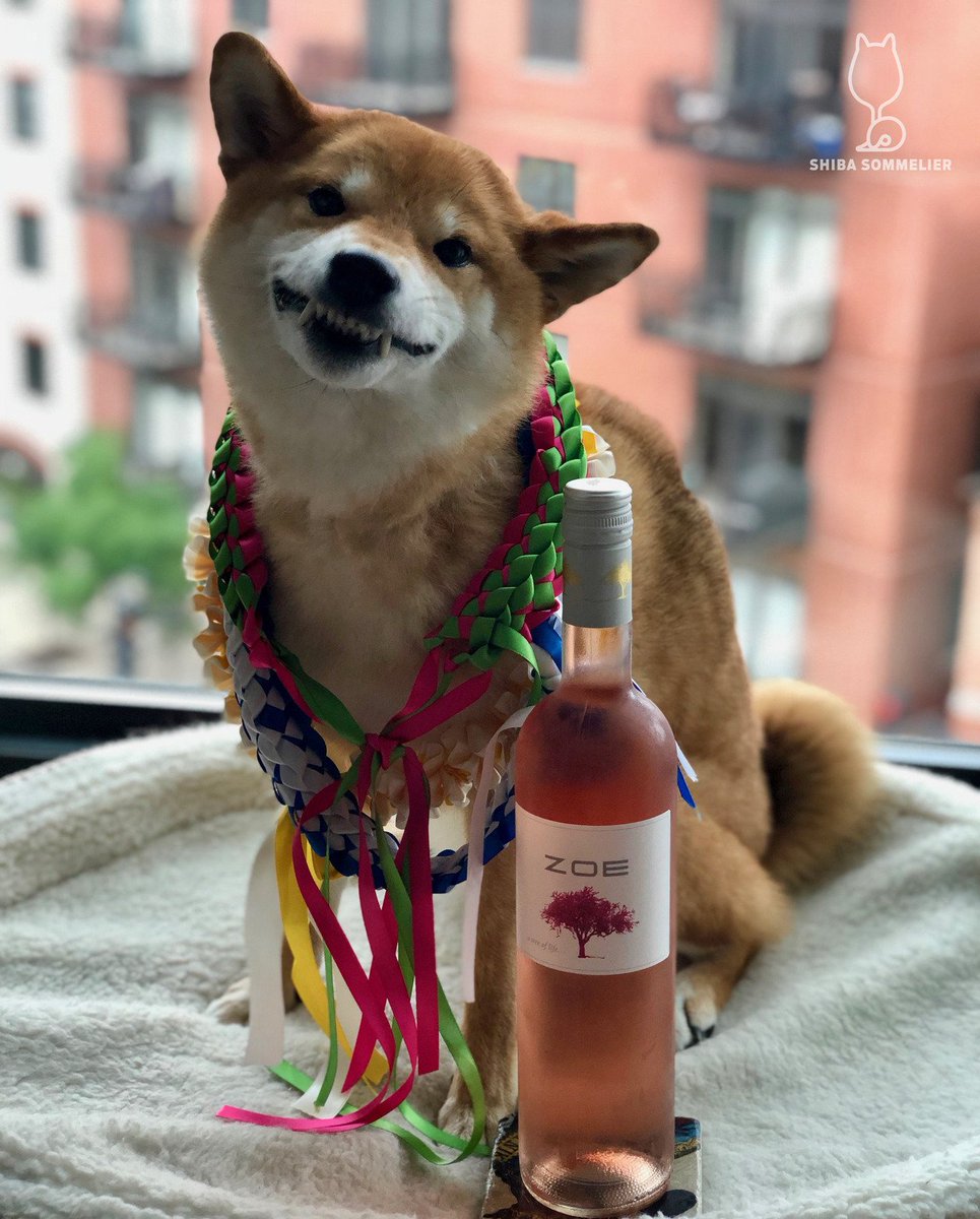 ShibaSommelier's tweet image. 2017 @DOMAINESKOURAS “Zoe” Rosé:  #3bones of @DrinkGreekWine 
bit.ly/2MMrQNe
#wine #shiba #Greece #roseallday