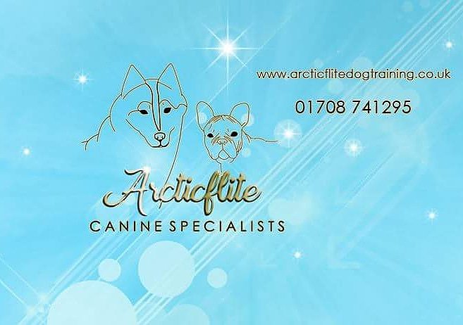 Teamarcticflit1's tweet photo. Arcticflite Canine Specialists, qualified #dogtrainers, #behaviourists, #nutritionists, groomers and #dogwalking services available. Check out our website or find us on fb. https://t.co/KXUS8LCZZZ