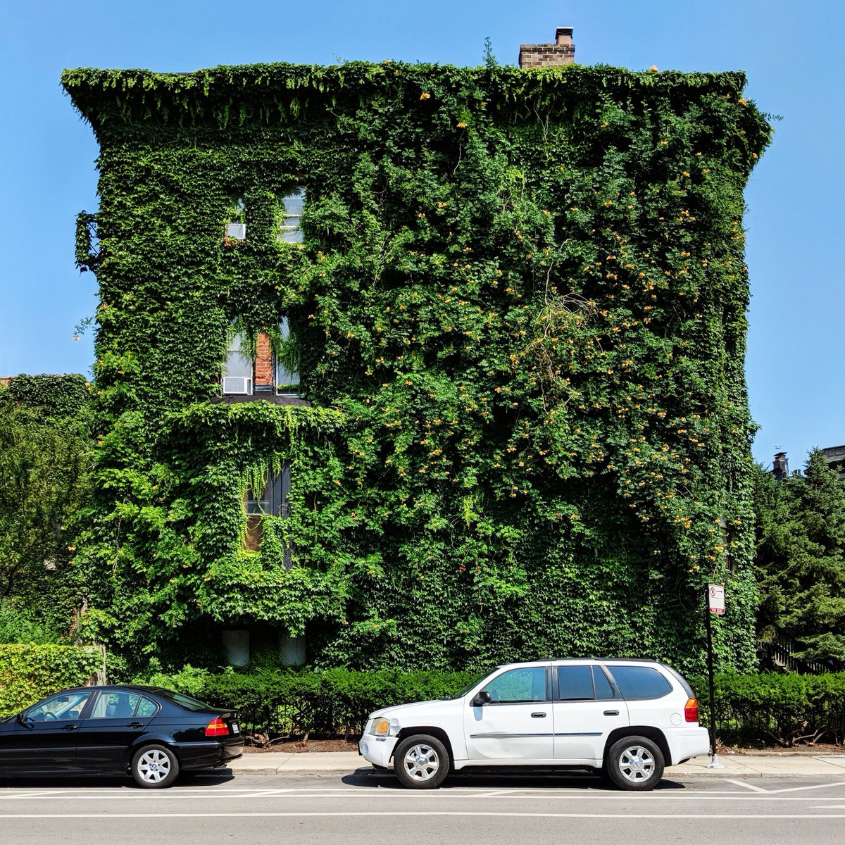 cshimala's tweet photo. 🌱Green House🌿 For @instagram's #WHPhidden
https://t.co/yM2saEq3wa
#Chicago #teampixel https://t.co/KvivyXywUZ