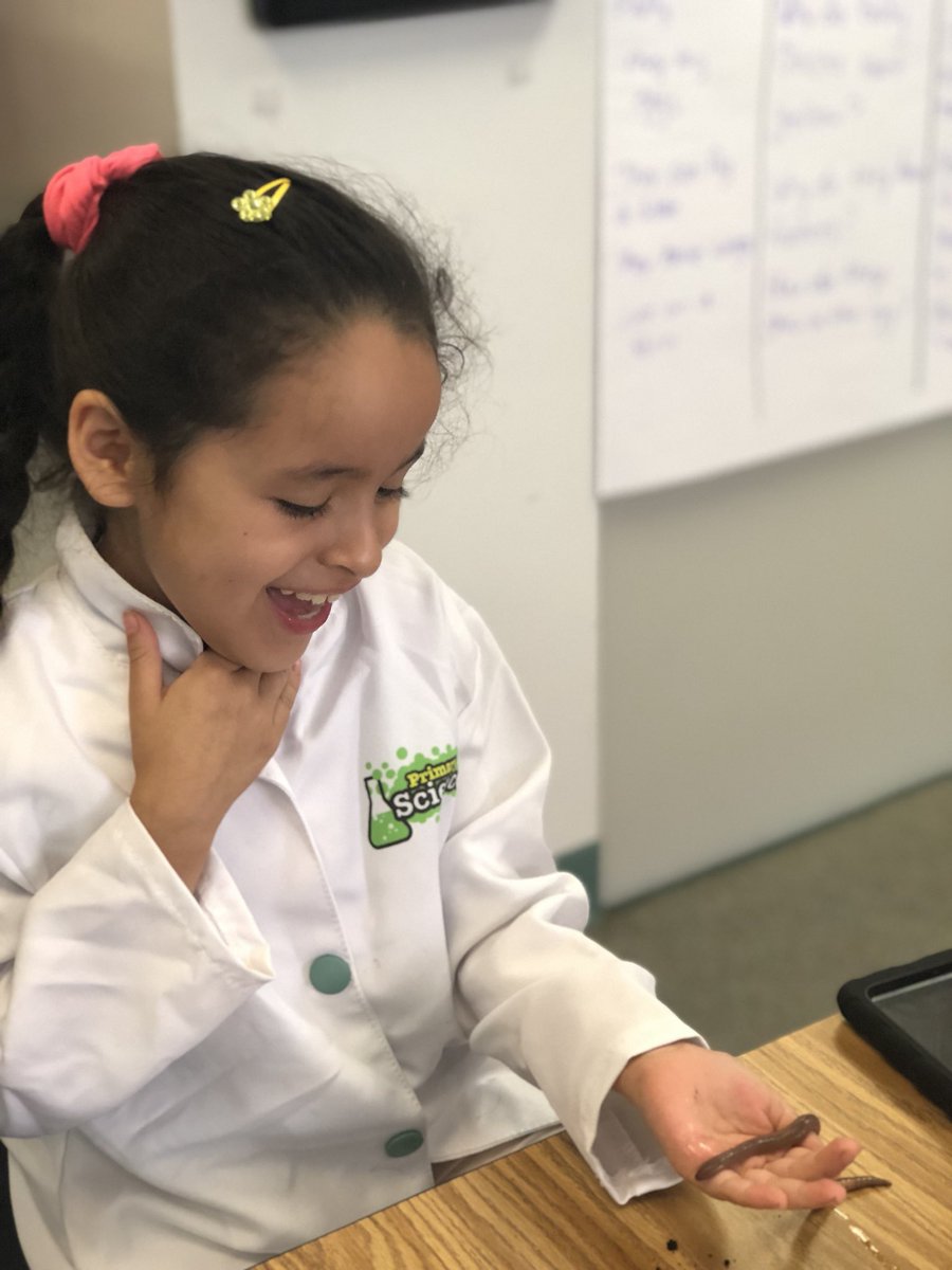 APSDrewReading's tweet photo. Today we were worm scientist! #APSInnovAcademy @APSDrewHyner @GravesKimberley https://t.co/9ZvFBu7QMi