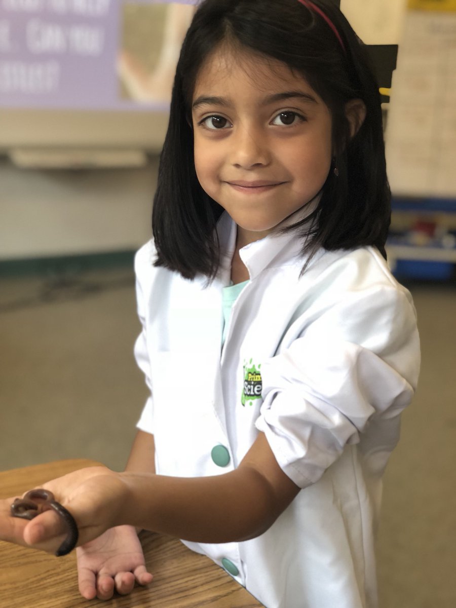 APSDrewReading's tweet photo. Today we were worm scientist! #APSInnovAcademy @APSDrewHyner @GravesKimberley https://t.co/9ZvFBu7QMi