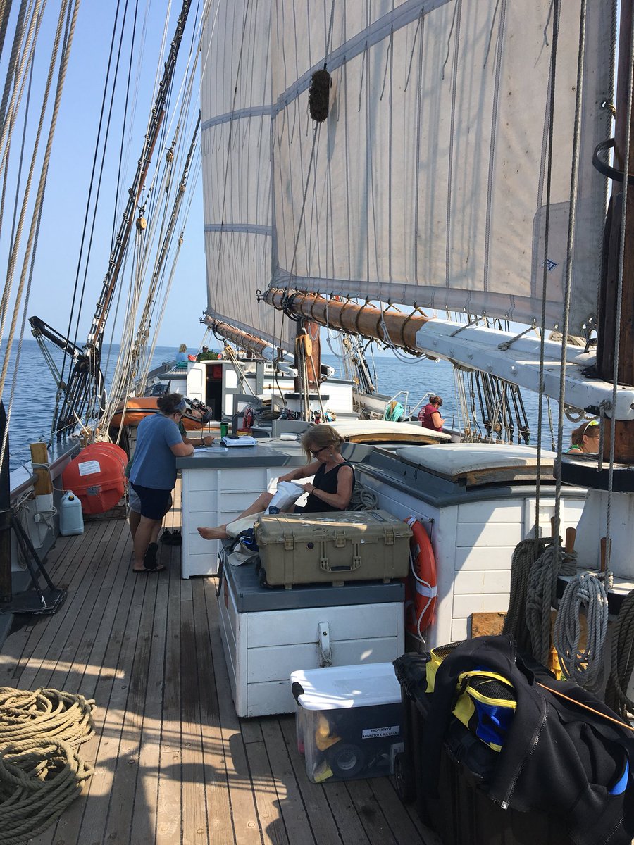 WiscWaterLib's tweet photo. Collaborating, contemplating, planning, mentoring. #sullivan18 @SVDenisSullivan with @MNSeaGrant @UWiscSeaGrant @WisHistory https://t.co/mjbGY8oo5g