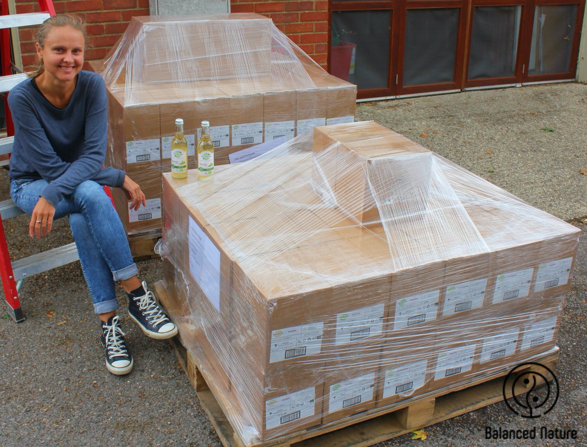 BIG NEWS! 🎊 Balanced Nature #kombucha joining the forces with one of the leading #healthfood wholesalers in the UK and Europe 🌍 - THE HEALTH STORE🏅 We are so thrilled and excited as our first order is ready to take off 🚀#kombuchaUK #kombuchalovers #kombuchaddict #raw #organic