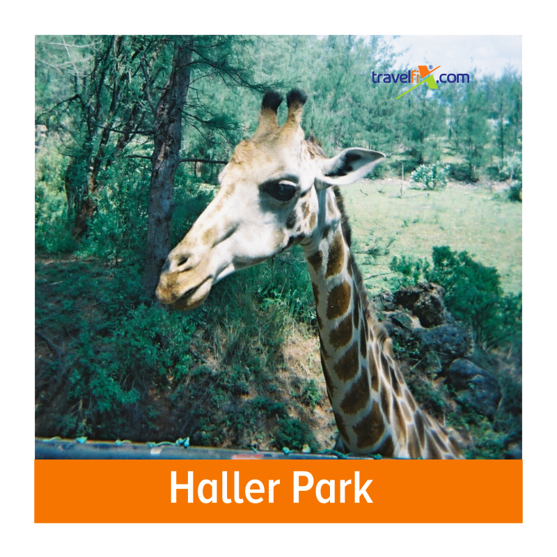 Travelfixcom's tweet image. Here are our top favourite things to do in Mombasa.

#travel #motivationmonday