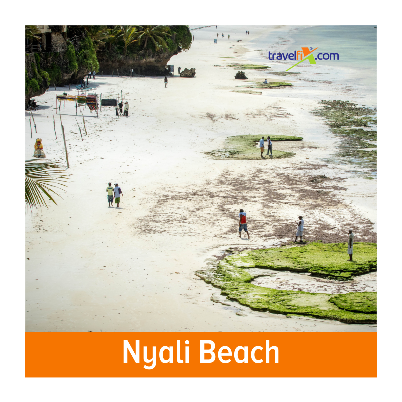 Travelfixcom's tweet image. Here are our top favourite things to do in Mombasa.

#travel #motivationmonday