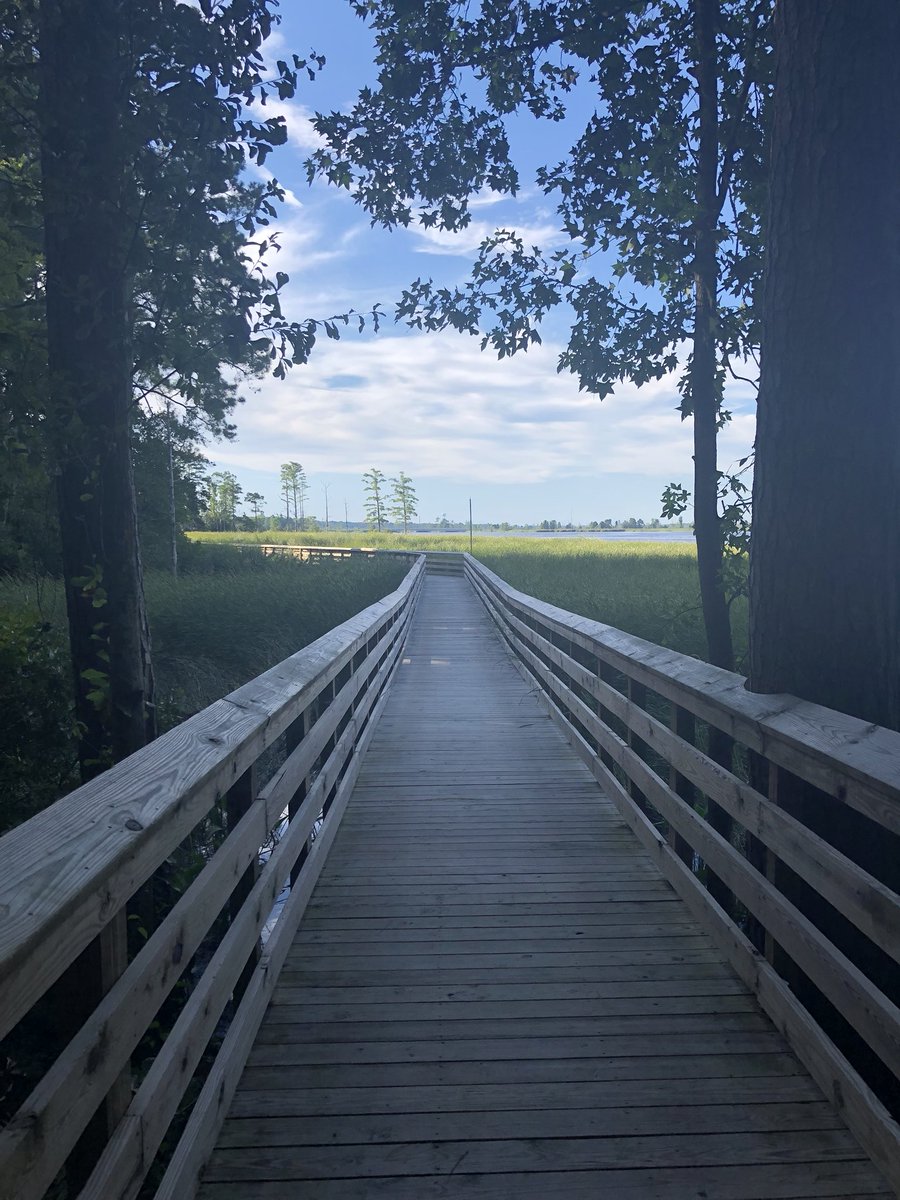 aaron96898064's tweet photo. YHC Q’ing Run Brunswick Forest Run. The AO is free for Ruckers too. 0530, park at Lowes food in Brunswick Forest. #f3capefear #preblast https://t.co/UpjwHfBJph