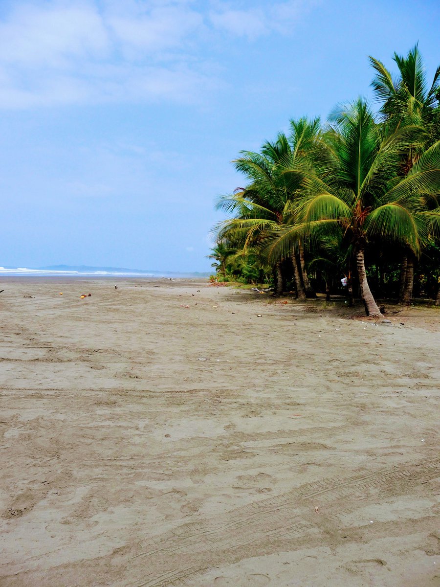 TheAccessibles's tweet photo. We want to see where youโve been exploring this summer! Let us know by tagging us and we may feature your photo throughout the month!
#summerexploring #vacation #summerholidays #costaricabeach #accessibletravelonline #wheelchairaccessiblebeaches
Photo by @glblaccessfiles https://t.co/o8KSnmbWPB