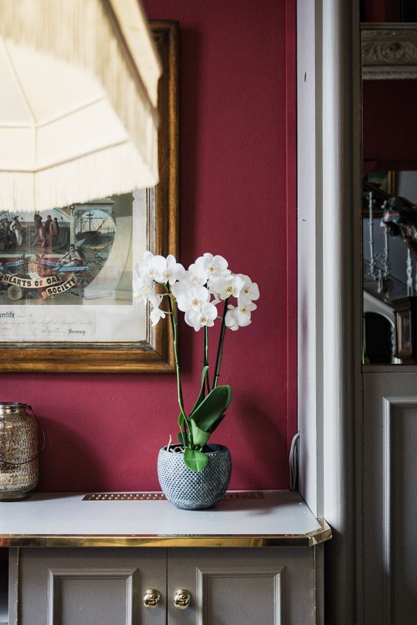 mycustardpie's tweet photo. How to tell the story of a hotel – a photo-walk in Notting Hill https://t.co/JTr7oCQv8l #blogtacular @Blogtacular @chevronseclairs @PortobelloHotel https://t.co/YeJznjiYF9