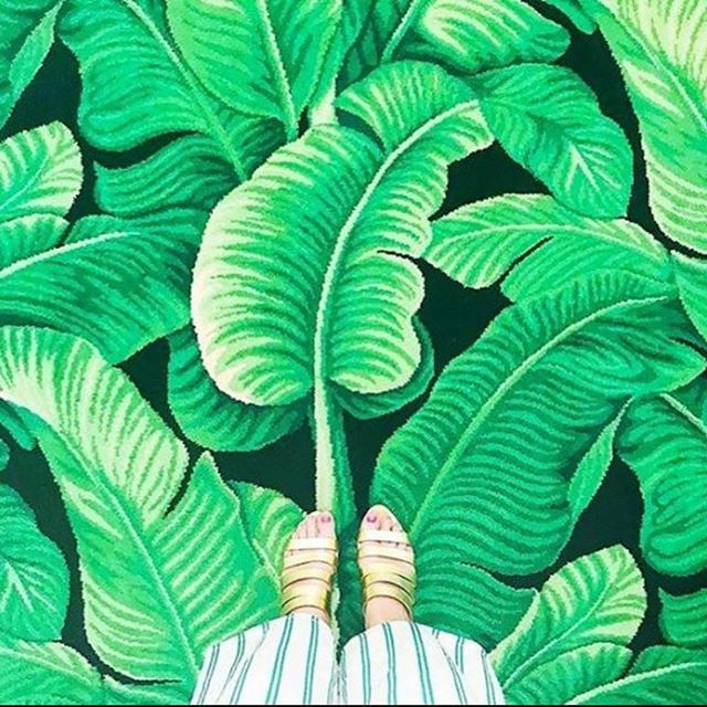 FCInortheastatl's tweet photo. This bold print is giving us all the inspiration we need to get through the week! .
.
.
.
#floors #flooring #floorcoveringsinternational #monday #mondaymotivation #inspiration #inspo #design #designinspo #designideas #ideas #prints #pattern #patterns #pa… https://t.co/2e1Pc6FeNF https://t.co/RVN0u31P4z