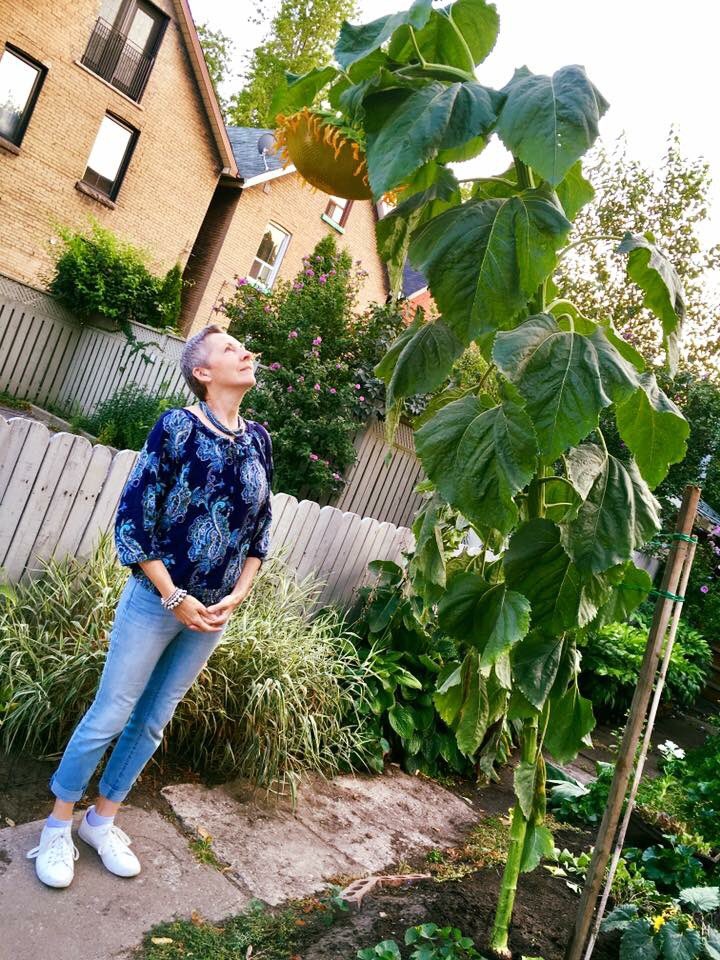 JaneChapKlein's tweet photo. Encountered this statuesque beauty on Sorauren Ave. in Toronto. 🌻  @CBCOntarioToday https://t.co/cZS3hyuQqS