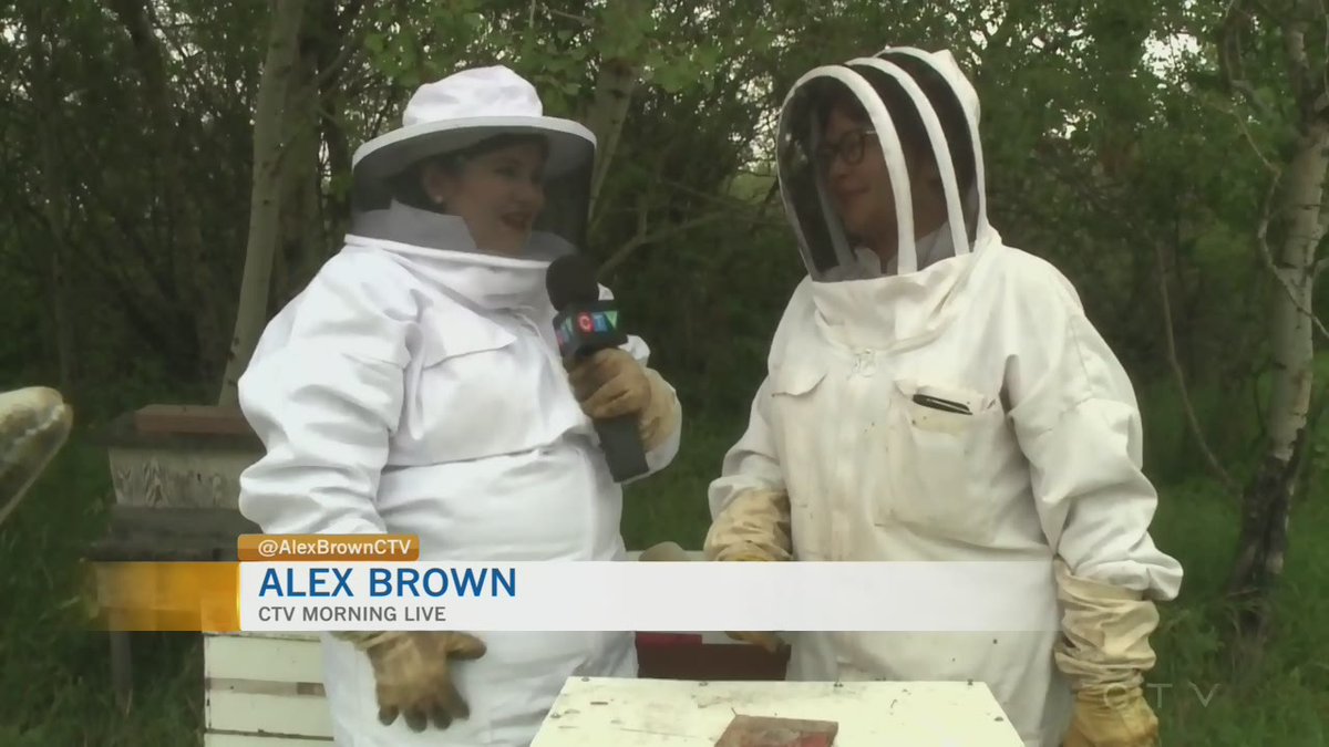 VIDEO: @AlexBrownCTV is live on location at @_zeebeehoney_ to learn about the honey and beeswax making process. regina.ctvnews.ca/video?clipId=1…
