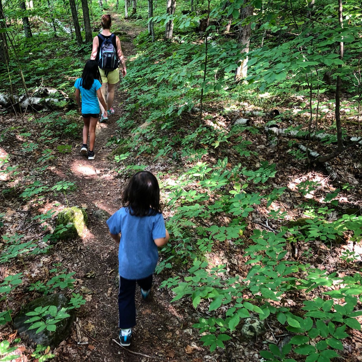 Find us in the woods... or don’t! #hikeontario #hiking #hikingfamily #hikingmom #kidswhohike #kidswhoexplore #kidswhotravel #womenwhohike #girlswhohike #skinnersbluff #brucetrail #wiarton #wiartonontario  #hikethebruce
