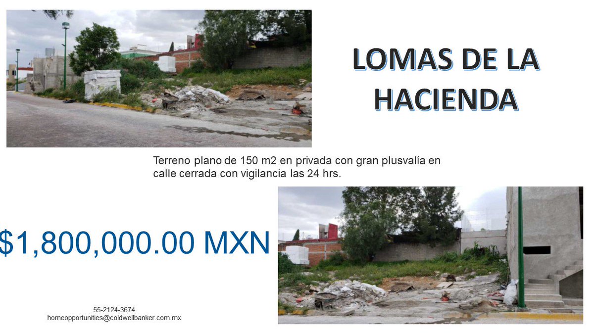 cbhomeopp's tweet photo. Terreno plano de 150 m2 en privada con gran plusvalía en calle cerrada con vigilancia las 24 hrs. Llamaal 2124-3674 para agendar una cita

#FelizLunes #Lunes #coldwellbanker #Terrenos https://t.co/Tl3mJhk76U
