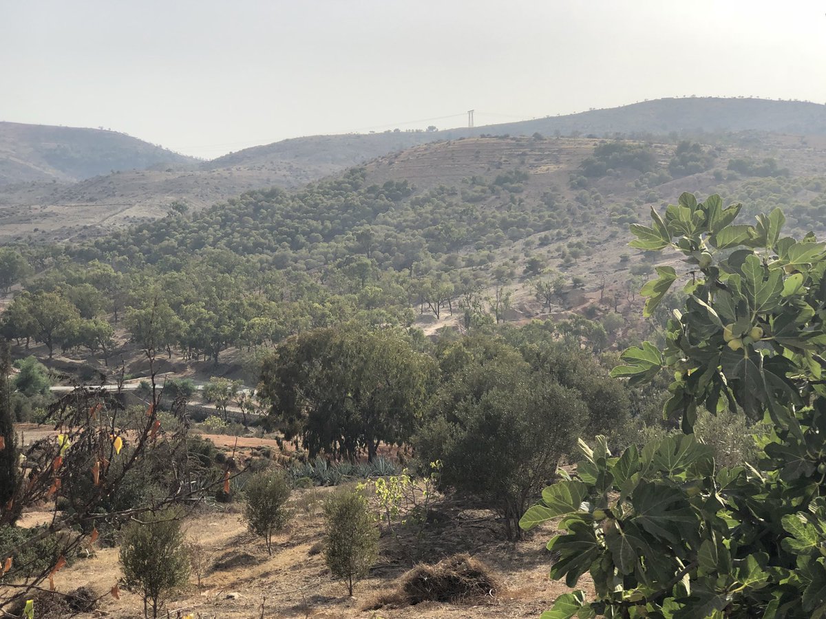 aelhattach's tweet photo. #AJDIR
#AITH_OURIAGHEL 
#RIF 
Au pays des ancêtres et des aïeux https://t.co/uEI0pl2QQl