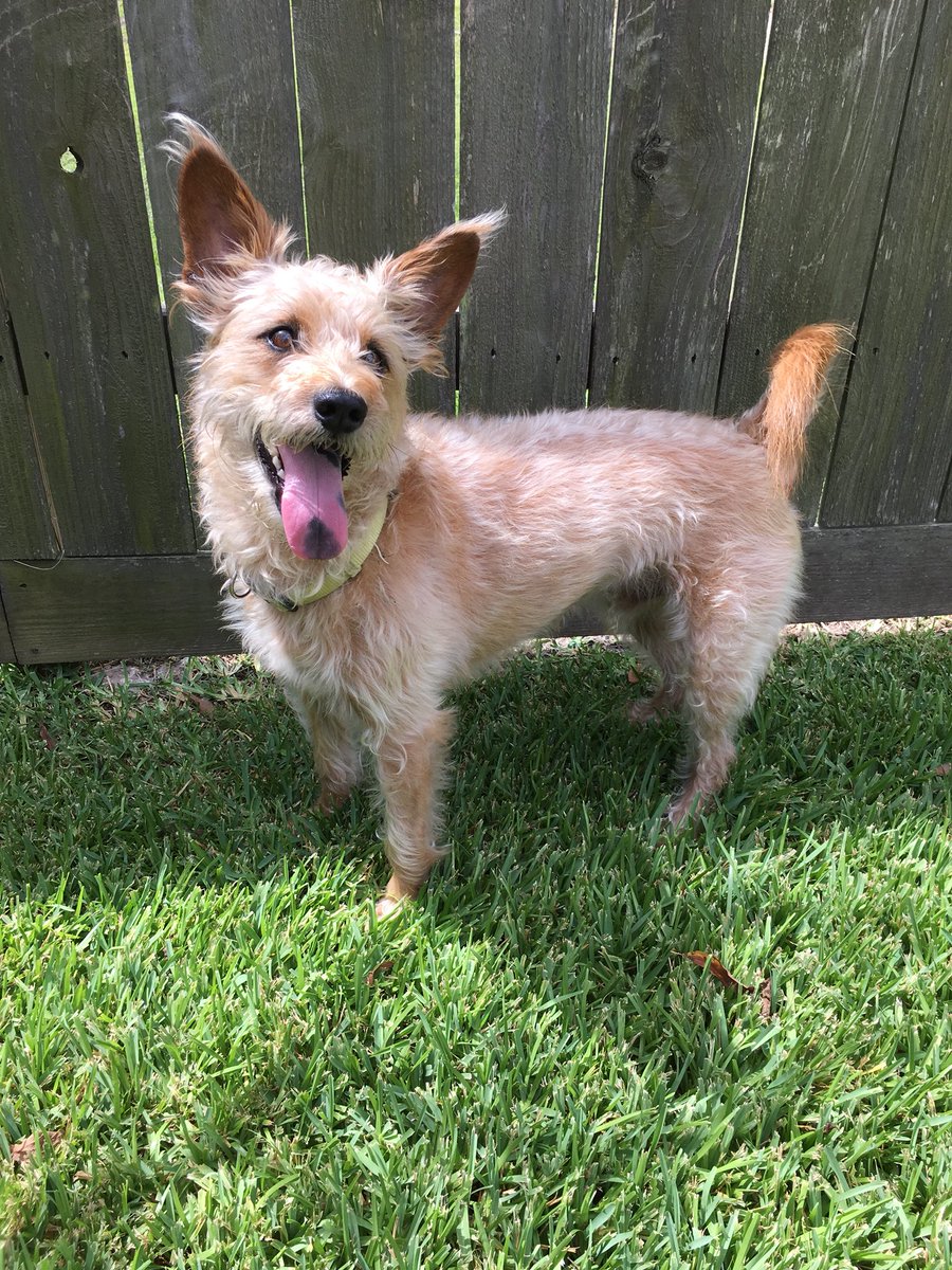 Kathryn Cook tweet media