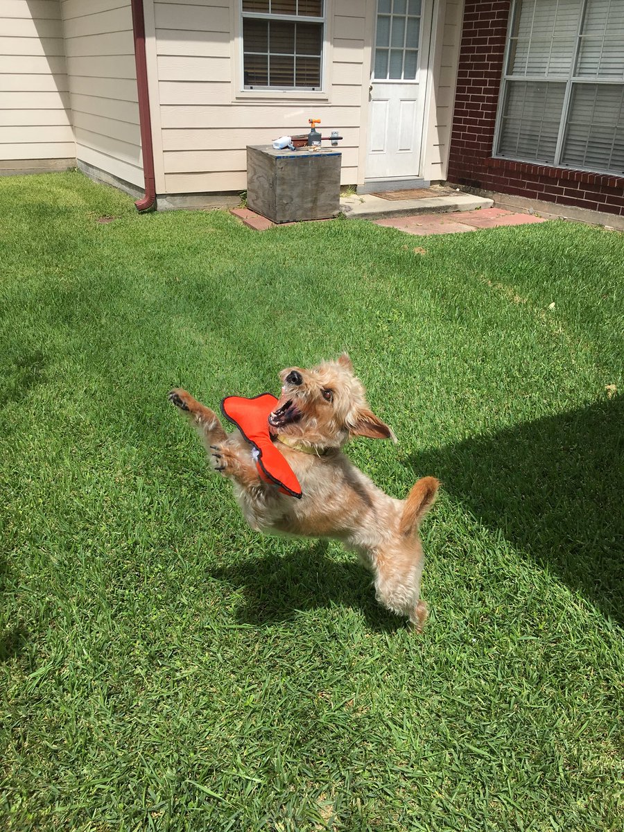 Kathryn Cook tweet media