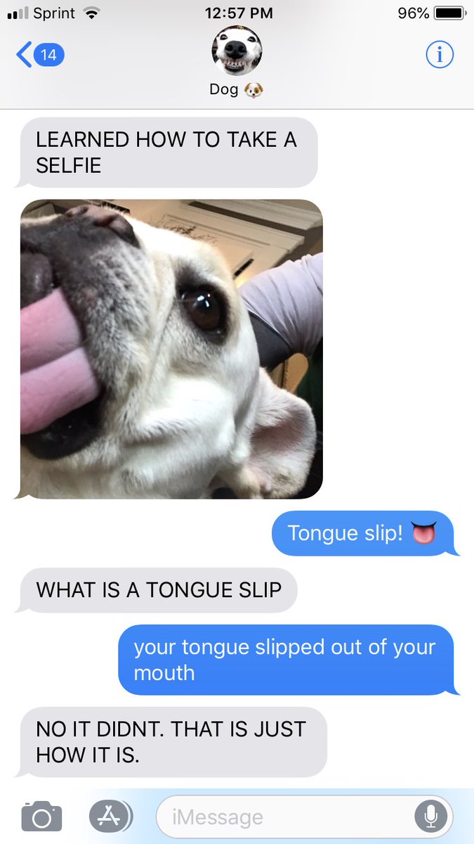 TextFromMyDog's tweet photo. https://t.co/hHK9st1XbW