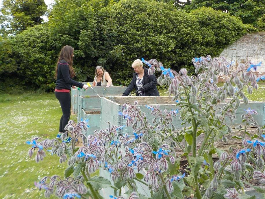 Our therapeutic gardening club meets on Wednesdays 11am-1pm in the lovely haven of the walled garden <a href="/sudleyhouse/">Sudley House</a> on  Mossley Hill Rd.
If you'd like to join them contact our information team on 0151 298 2999 or email info@thebraincharity.org.uk