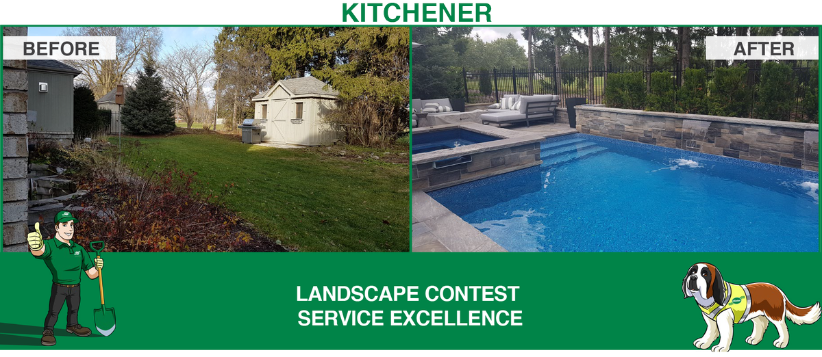 ClintarKW's tweet photo. Thank you @ClintarOffice for the shout out in this weeks franchise newsletter for the before and after contest!
# clintarktchener #trigreen #clintar #teamgreen #beforeandafter https://t.co/GMhFOzpgQK