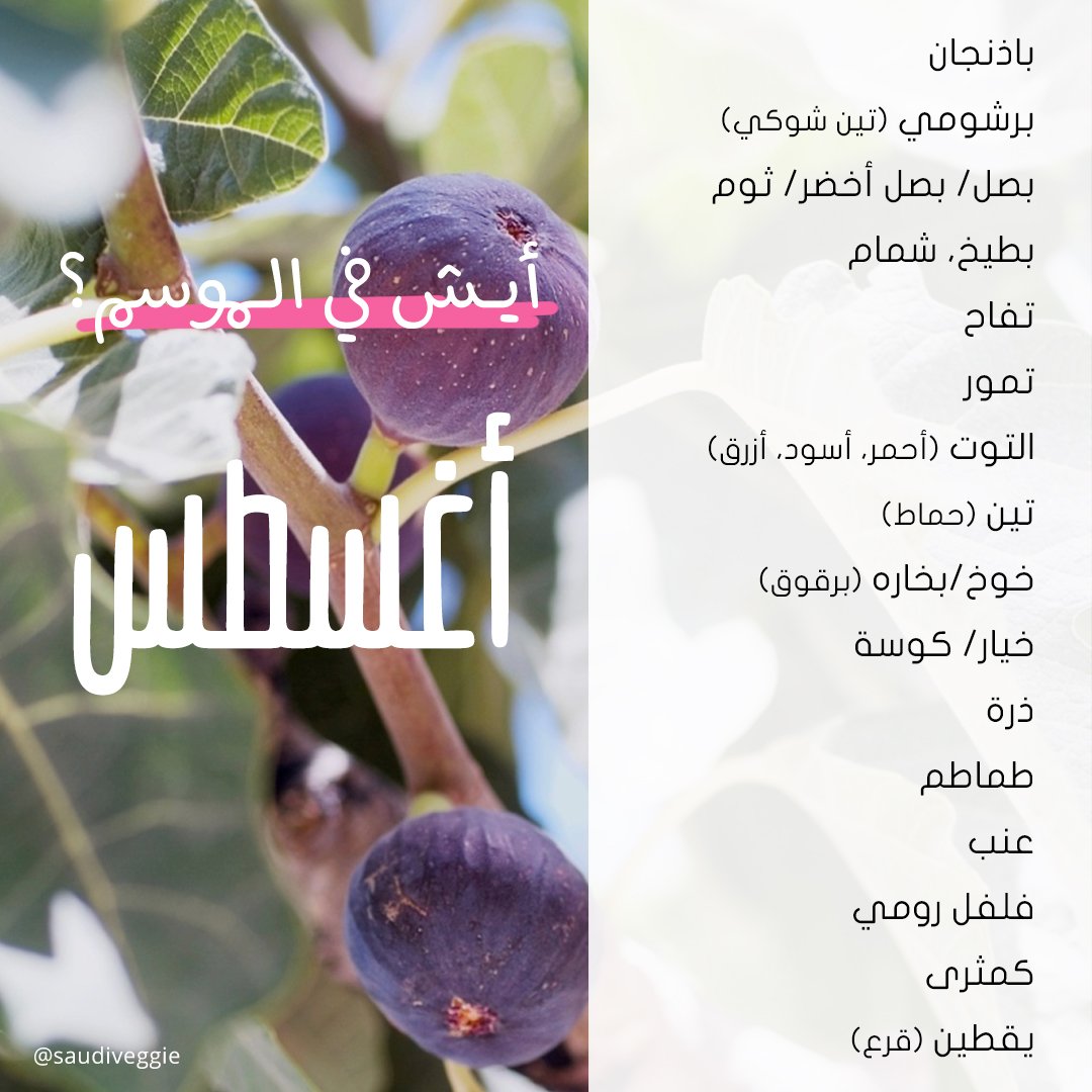 SaudiVeggie's tweet photo. عز فواكه الصيف والخضروات الآن في الموسم 😍 مين ثلاجته لسه ما فيها تين وبطيخ؟ الآن التين والبطيخ في أفضل وقت لهم. 
في فاكهة رهيبة كمان ✨ الآن بدأت تدخل الموسم وكل أحد يحبها حتكون في نضوجها الشهر الجي، أحد يعرف أيش هيا؟ لو تفكر فيها شكلها وهي على الشجرة يشبه التفاح.
#محاصيل_الموسم https://t.co/Ge35Dy4Bhr