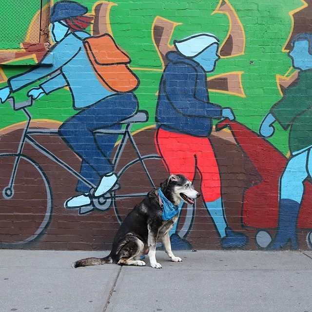 nicodoggerton's tweet image. I wonder where all these blue people are going. They seem to be in too much of a rush to pet me.
.
.
.
.
.
#woofandwalls #bkstreetart #petsofnyc #barkhappy #bkdogs #topdogphotos ift.tt/2vGdhV1