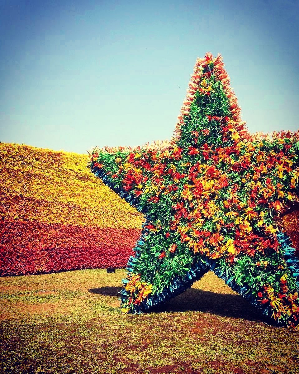 trippygoa's tweet photo. Muesuem of Goa | https://t.co/cJJKEVtNlx

#mog #muesuemofgoa #museumofgoa #museum #muesuem #colours #star #goapastandpresent #goavibes #goastateofmind #goa #trippygoa #tripgram #travelgram #wanderlust https://t.co/iQupPARoTP