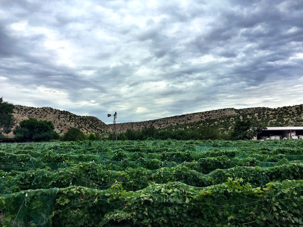 NewMexico's tweet photo. Ponderosa Winery is an oasis in the heart of the Jemez Mountains. Hot days, cool nights, and volcanic ash deposits combine to give the wine the unique character that's helped it win plenty of awards. Cheers! #NewMexicoTrue https://t.co/1tuZryGgyZ