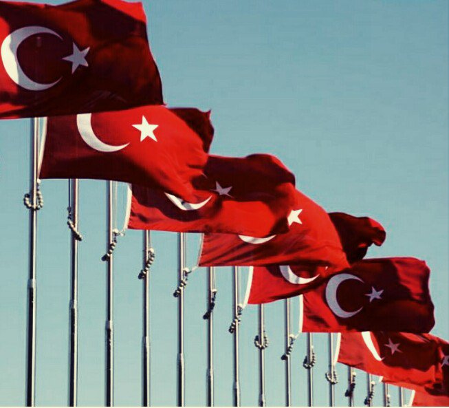 Şevkinle serab ettin, aşkınla harab ettin, payında türab ettin ...