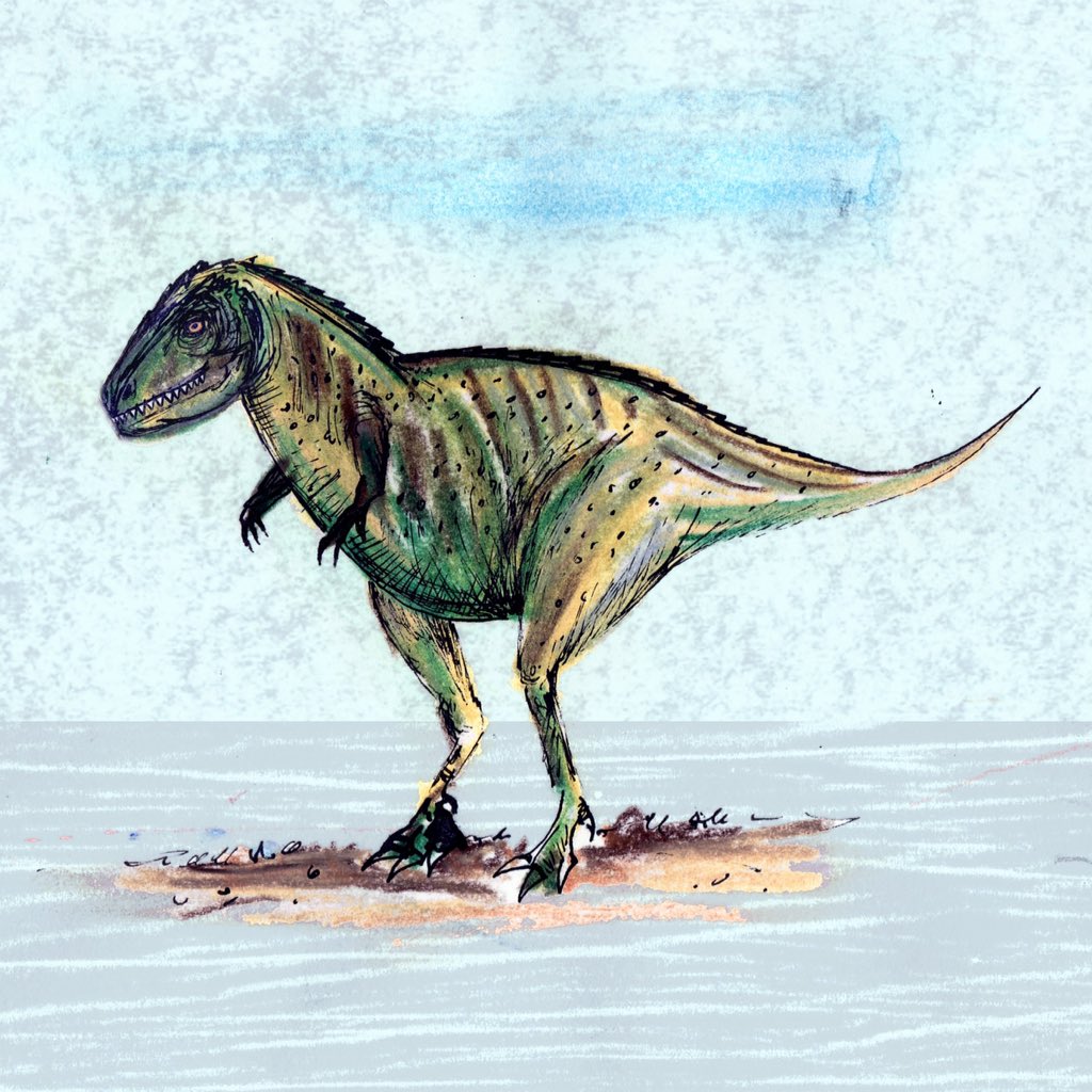 neildavison1969's tweet photo. Pastels and ink for my K for #Kryptops #AnimalAlphabets effort @AnimalAlphabets Day 13 #DrawingAugust #extinctanimals #drawing #illustration #dinosaur #pastel #ink https://t.co/Pr6bZa81ms